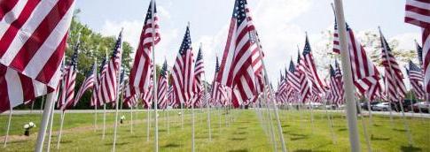 Flags posted outside in grass.